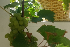 20160830_112152